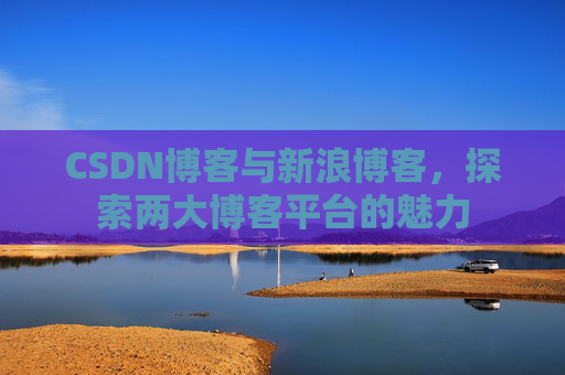 CSDN博客与新浪博客，探索两大博客平台的魅力